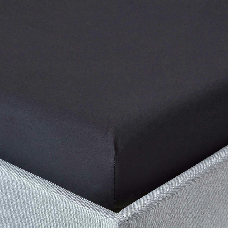 image 1 of Homescapes Black Egyptian Cotton Fitted Sheet 200 TC, Single | Black | Single