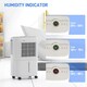 image 5 of HOMCOM 12L/Day Small Dehumidifier for Home Damp, with Humidity Light