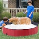 image 7 of PawHut Pet Paddling Pool Cat Dog Indoor/ Outdoor Foldable 160cm Diameter Red