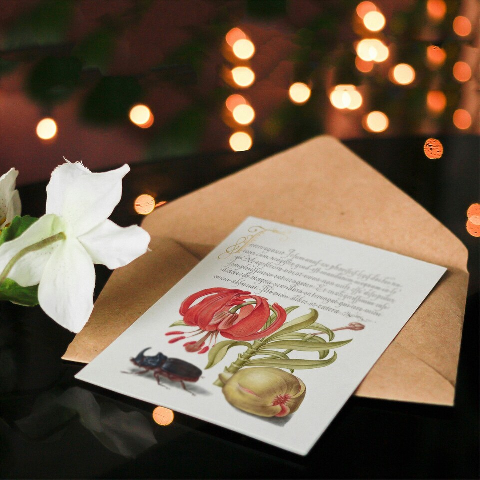 image 1 of Model Book of Calligraphy Art Card Turks Cap Lily Fig and Beetle