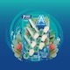 image 1 of Foam & Fresh Eucalyptus