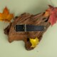 image 6 of HugglePets Legacy Leather Dog Collar - Black Black | XS
