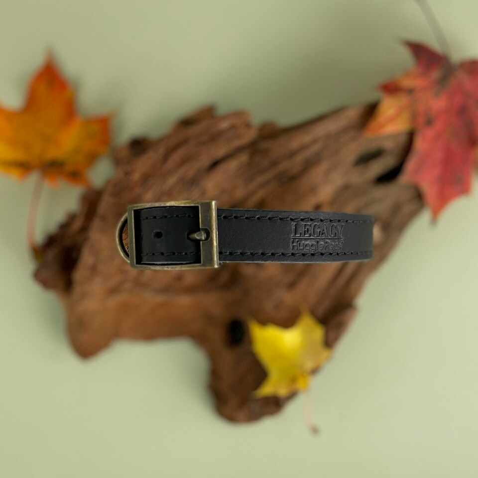 image 1 of HugglePets Legacy Leather Dog Collar - Black Black | XS