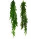 image 4 of 6 x 100cm Hanging Pearls Fern Plant Dark Green