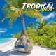image 1 of Tropical Islands 2026 Calendar | Square Wall Calendar | Travel Gift | Plastic Free Packaging | by Avonside Publishing