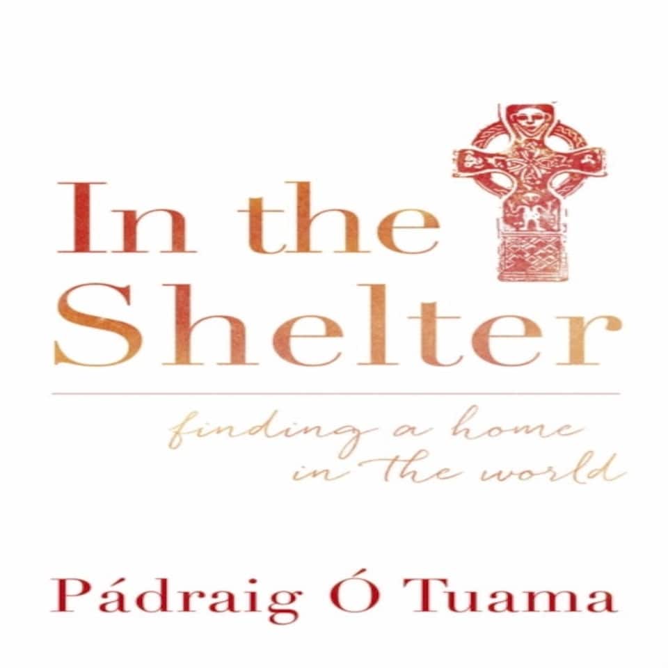 In The Shelter