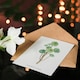 image 4 of Pierre-Joseph Redouté Art Card Tree Houseleek Succulent