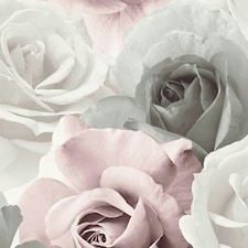 Rhoda Rose Wallpaper