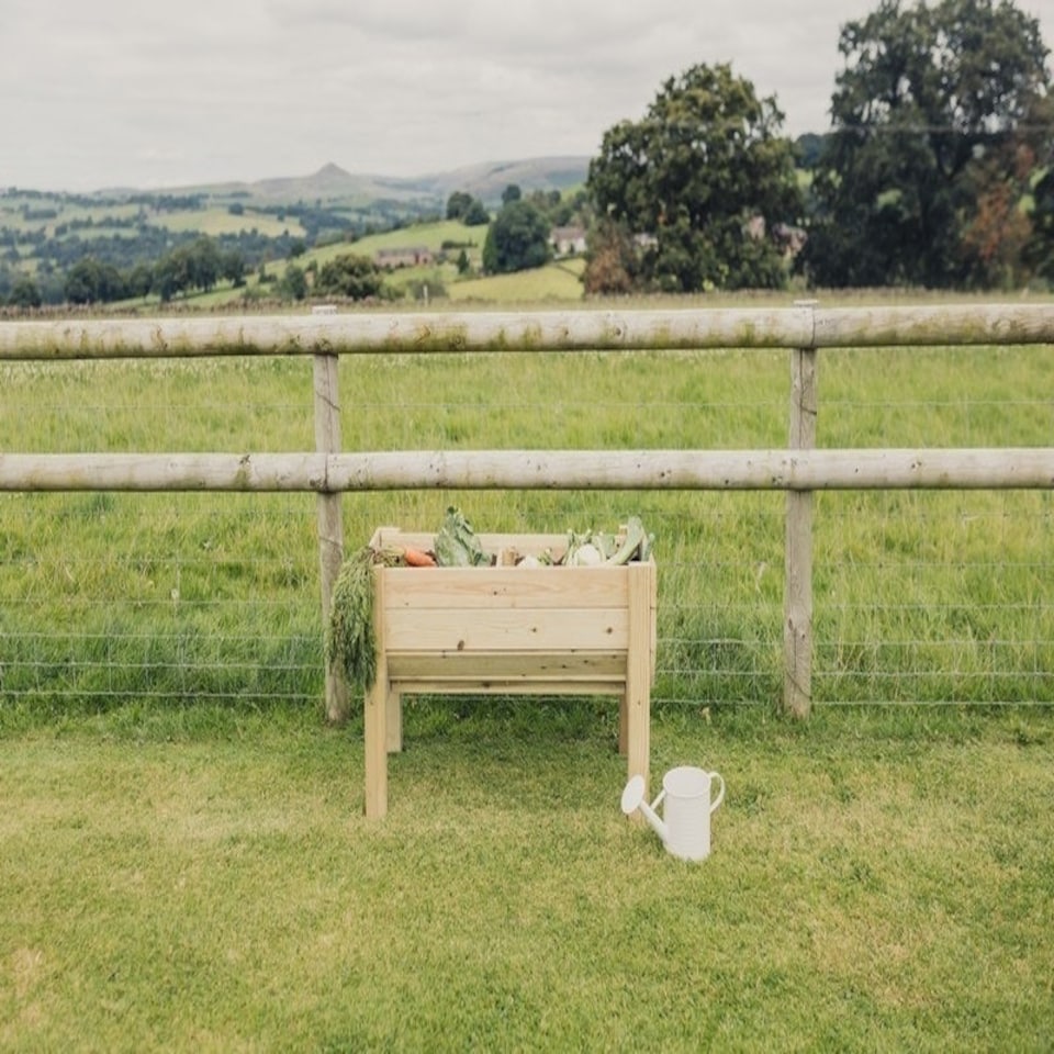 image 1 of Raised Veg Trug Garden Planter - Scandinavian Redwood - L52 x W100 x H60 cm - Minimal Assembly Required | Brown