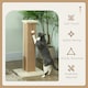 image 3 of PawHut Cat Scratching Post with Vertical Sisal Rope Ball Plush, 81cm, Beige