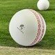 image 4 of CRICKET-GIFTS - Large Cricket Ball Squeezy Stress Ball | Relieve Tension & Improve Focus White
