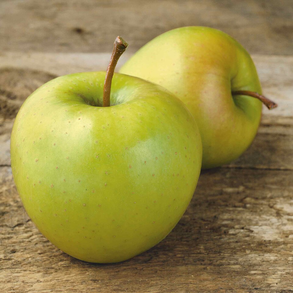 image 1 of Marshalls Garden Patio Apple 'Golden Delicious' - Compact Dessert & Cooking Apple | Yellow | Yellow, Orange