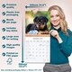 image 6 of Rottweiler Puppies 2026 Calendar | Square Wall Calendar | Dog Breed Gift | Plastic Free Packaging | by Avonside Publishing