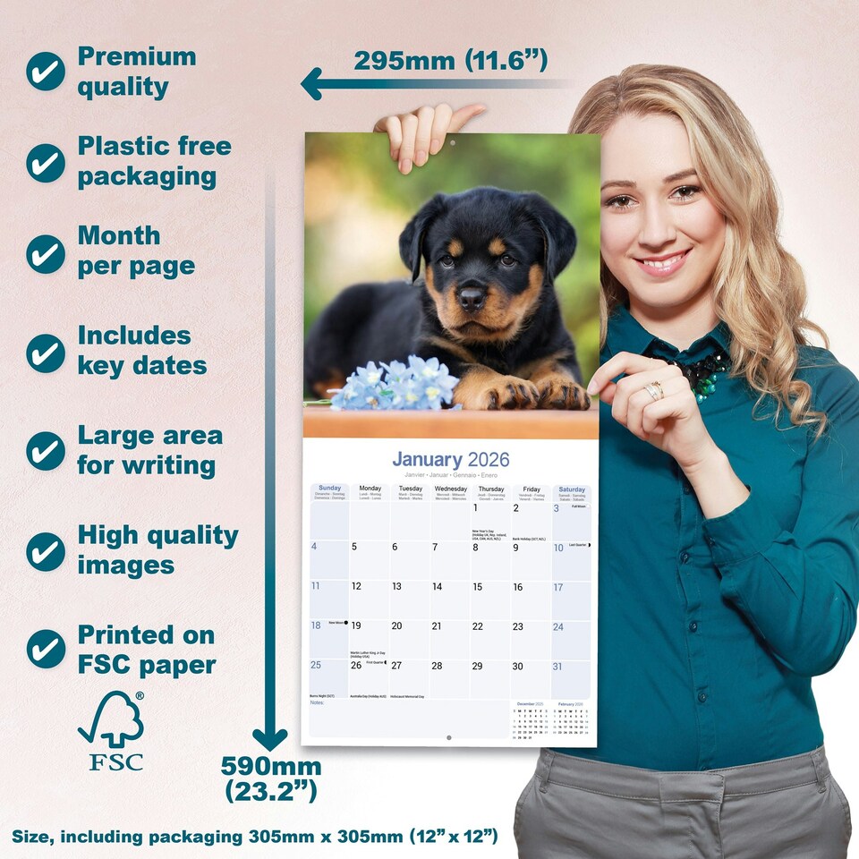 image 1 of Rottweiler Puppies 2026 Calendar | Square Wall Calendar | Dog Breed Gift | Plastic Free Packaging | by Avonside Publishing