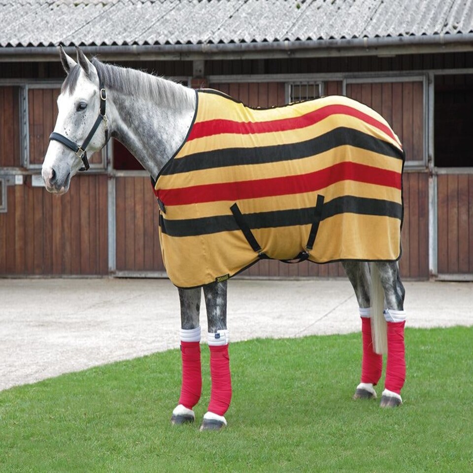 image 1 of Shires Wessex Newmarket Fleece Rug Multi | Colour: Newmarket
Size: 5ft 6
