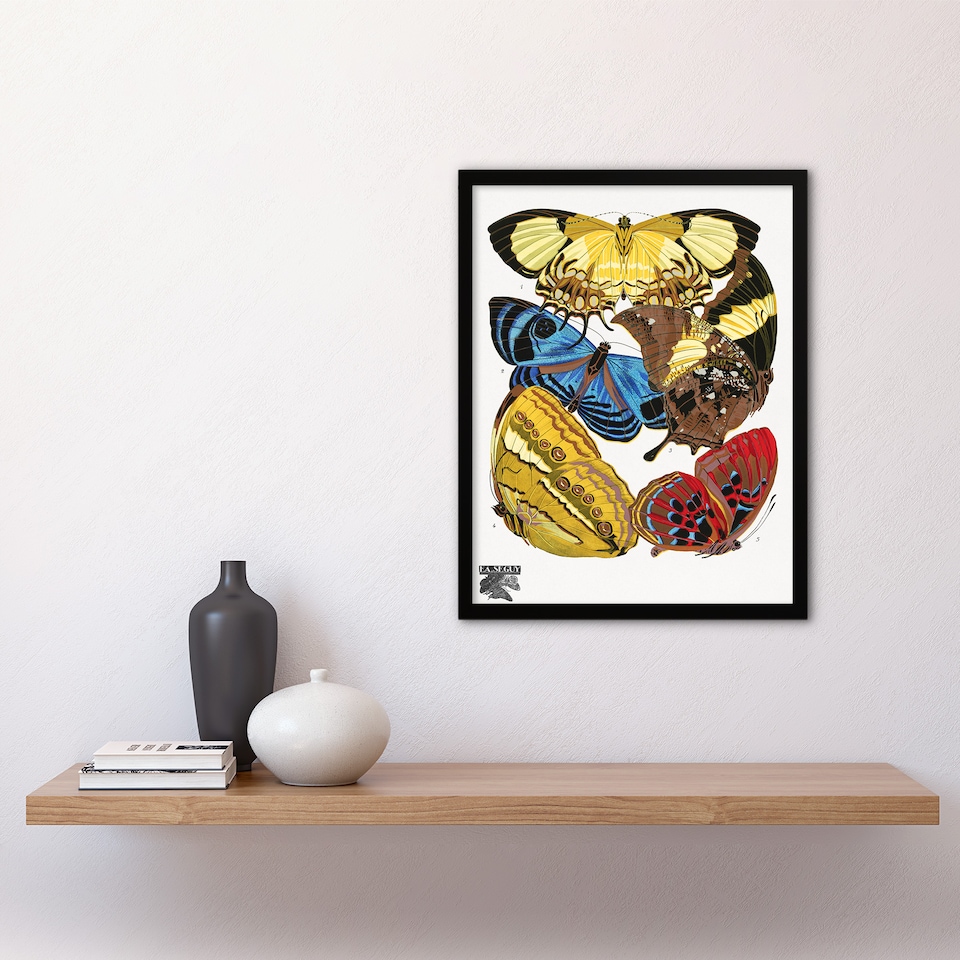 image 1 of Eugene Seguy Framed Wall Art Vintage Butterflies Yellow Red Blue Home Décor
