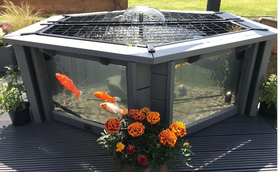 image 1 of Raised hexagon pond with large windows Lily Clear View Garden Aquarium in Grey