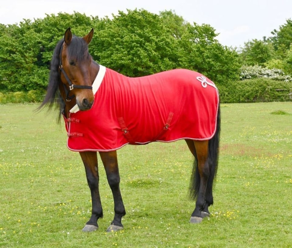 image 1 of Rhinegold Show Fleece | Black | Size: 5ft 9
Colour: Black