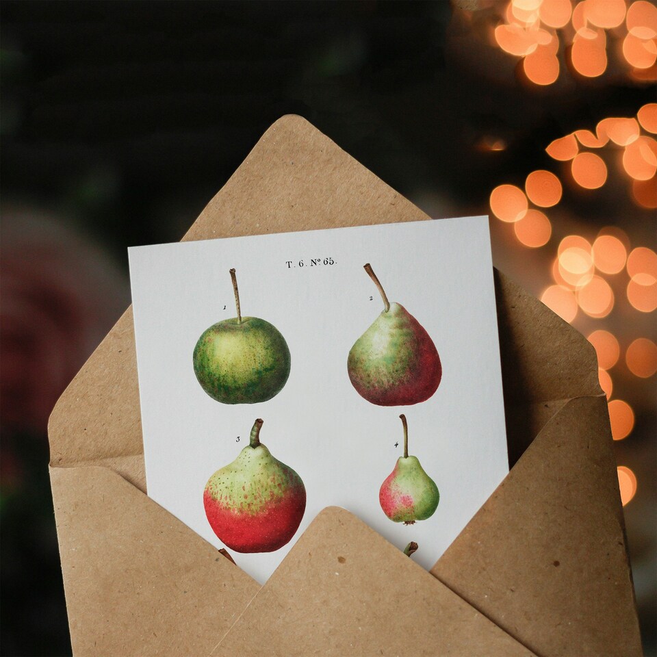 image 1 of Pierre-Joseph Redouté Art Card Pear Fruit Varieties Vintage
