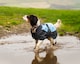 image 3 of Henry Wag Blue Waterproof Coat, For Maximum Comfort Whilst Adventuring In The Wet And Cold Weather, Size X-Small 35cm | Blue | Blue & Grey | XS | 1