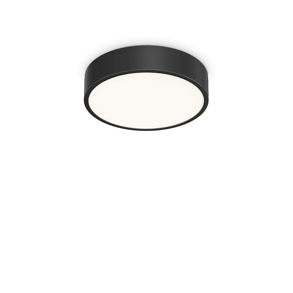 Ray Integrated LED Semi Flush Light Black 2000Lm 3000-4000K IP44