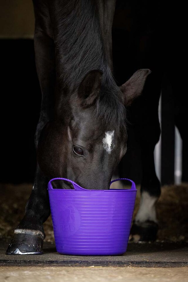 image 1 of Red Gorilla - Gorilla Tub 38L - Flexible Multi-Use Bucket | Pink