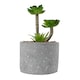 image 1 of The Greenery Artificial Succulent Plant