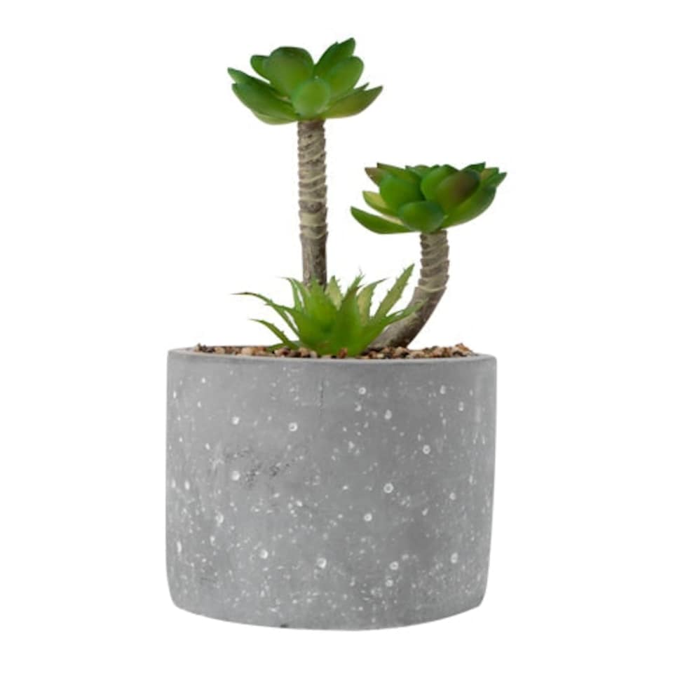 image 1 of The Greenery Artificial Succulent Plant