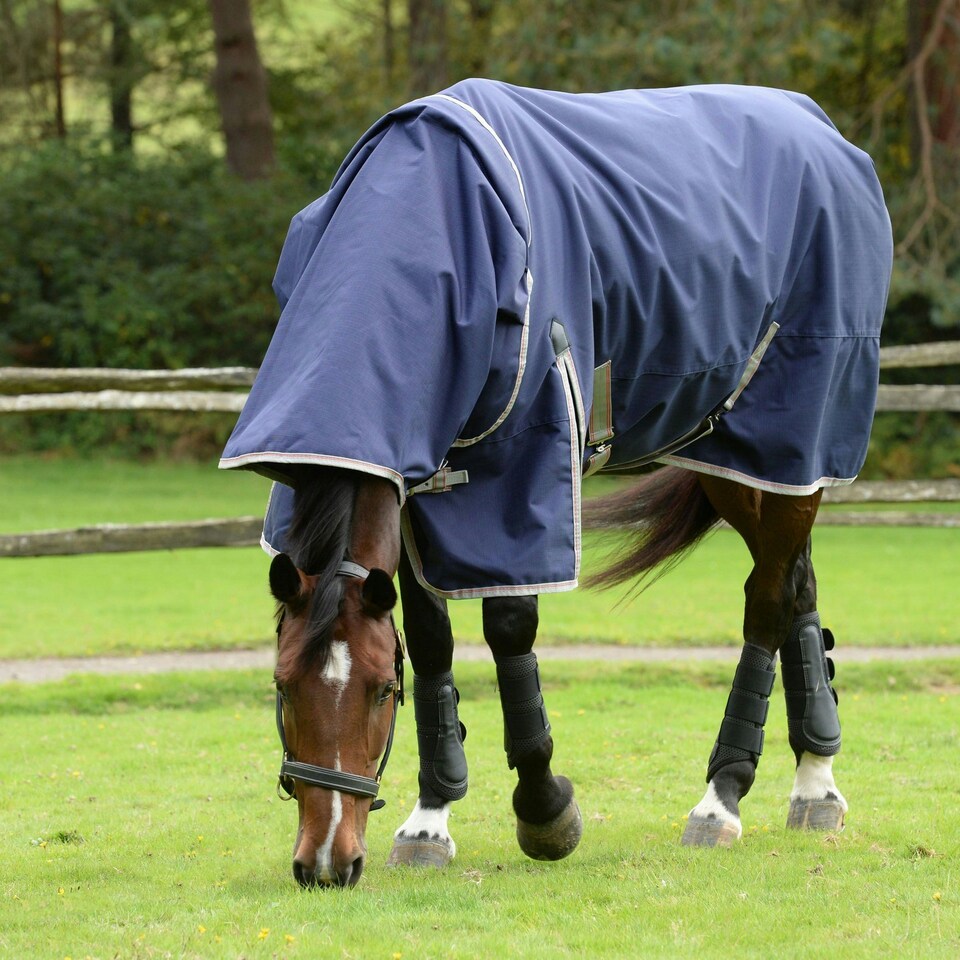 image 1 of Weatherbeeta Comfitec Essential Plus Detachable Neck Lite 50g Horse Rug - Navy/Silver/Red - 5´ 3"