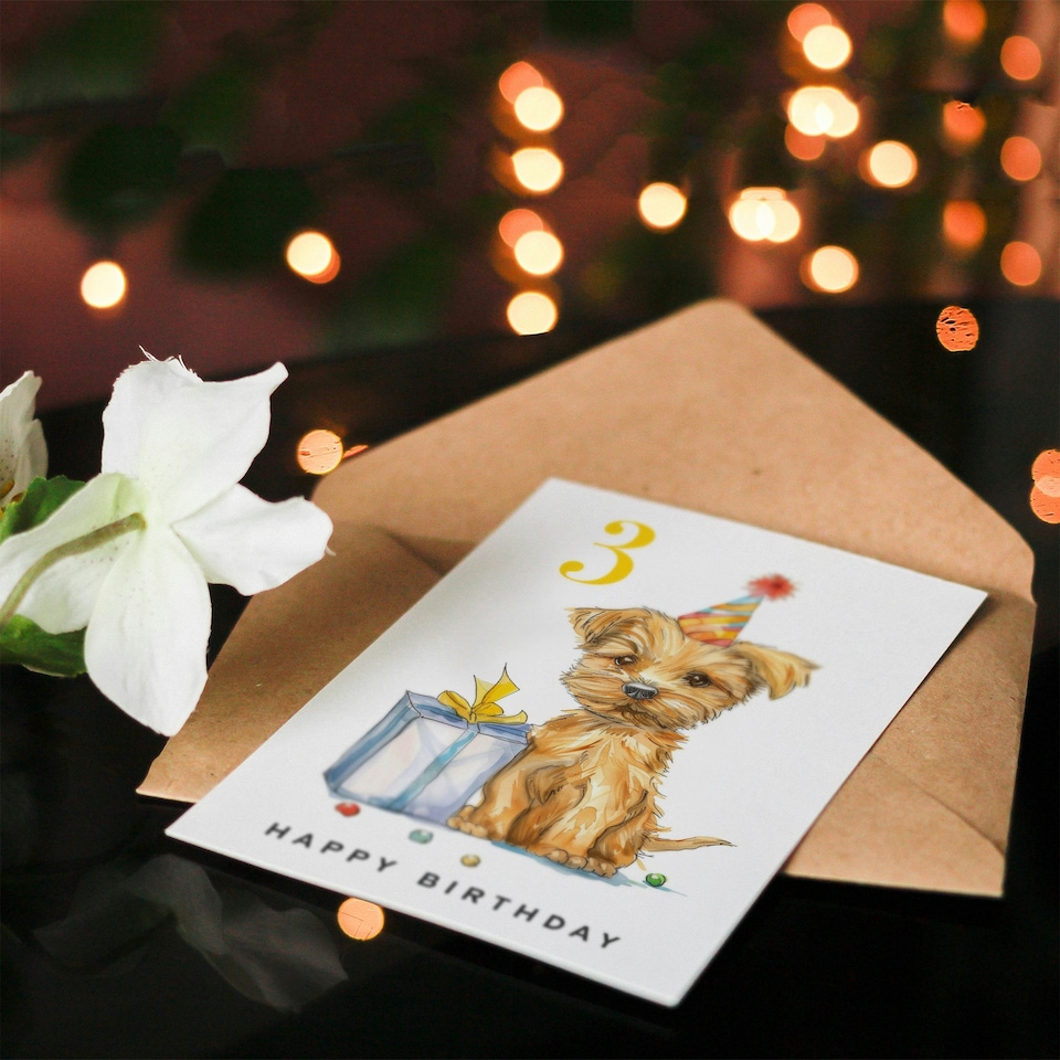 image 1 of 3rd Cute Terrier Dog Puppy Party Hat Kids Age 3 Year Old Child Birthday Card
