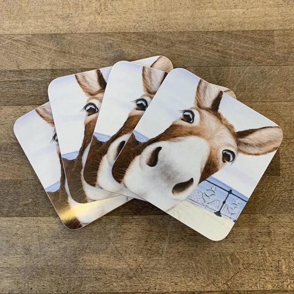 image 1 of Lucy's Farm Donkey at Swanage Pier Melamine Coaster