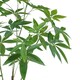 image 2 of 120cm Artificial Money Plant Pachira Realistic Faux Tree