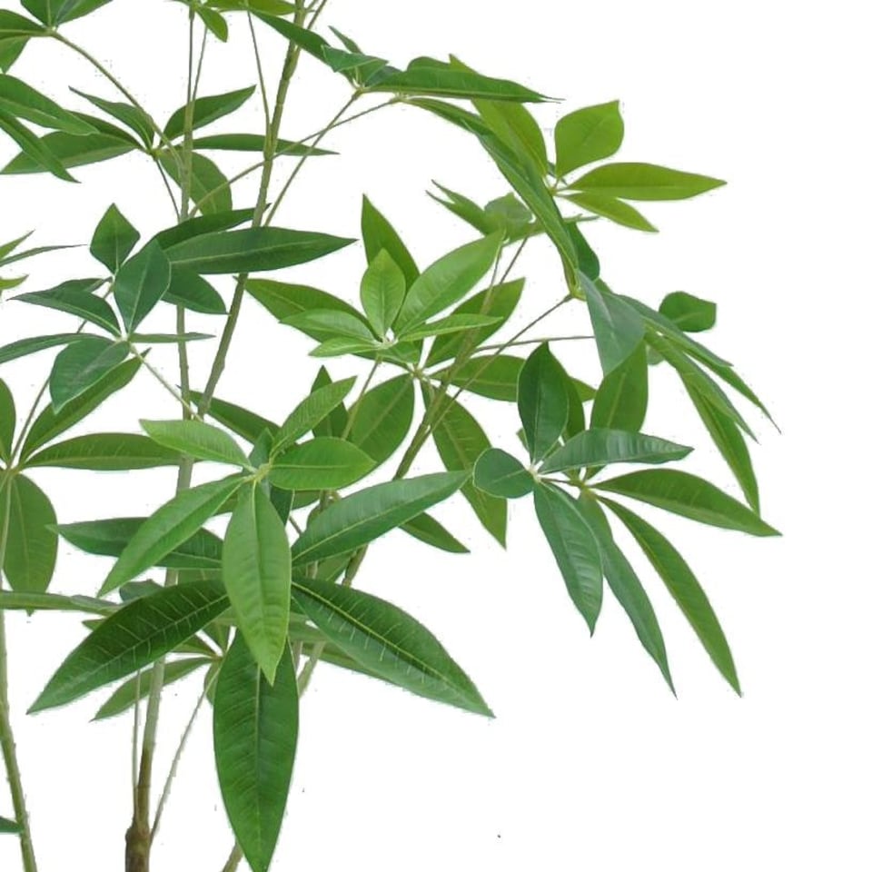 image 1 of 120cm Artificial Money Plant Pachira Realistic Faux Tree