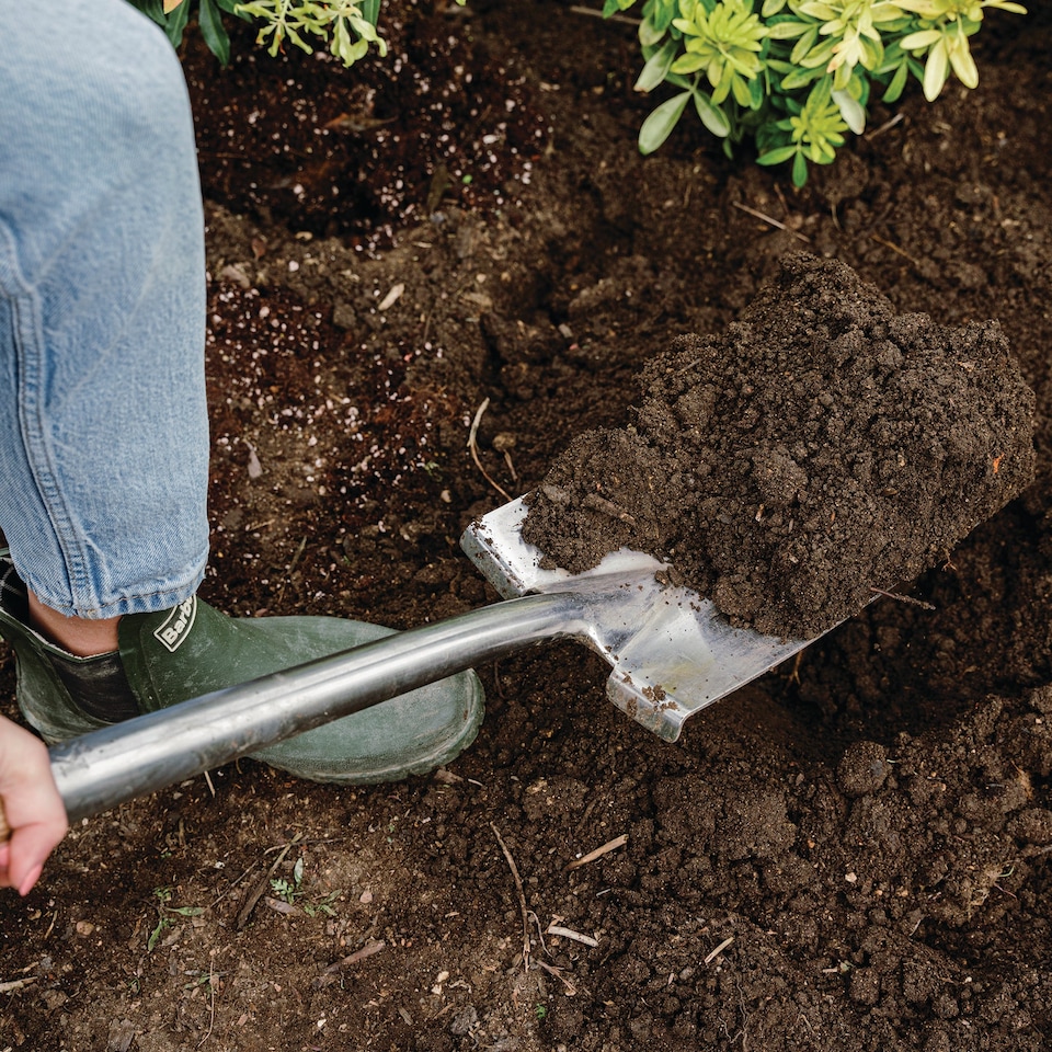 image 1 of Kent & Stowe Stainless Steel Digging Spade and Fork Set