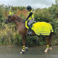 Woof Wear Hi Vis Exercise Sheet Yellow | Size: Large
Colour: Hi Viz Yellow