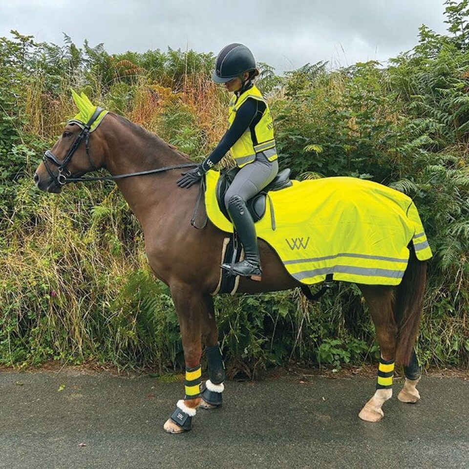 Woof Wear Hi Vis Exercise Sheet Yellow | Size: Large
Colour: Hi Viz Yellow