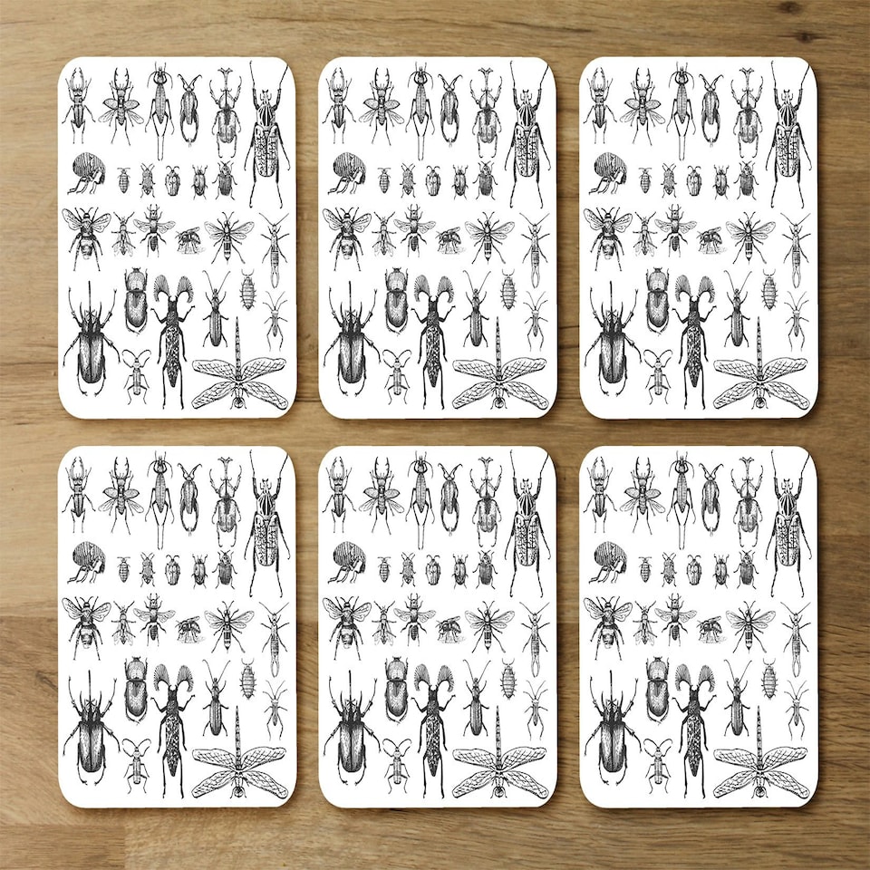 image 1 of big set of insects bugs beetles and bees, fleas many species in vintage old hand drawn style (Placemat & Coaster Set)