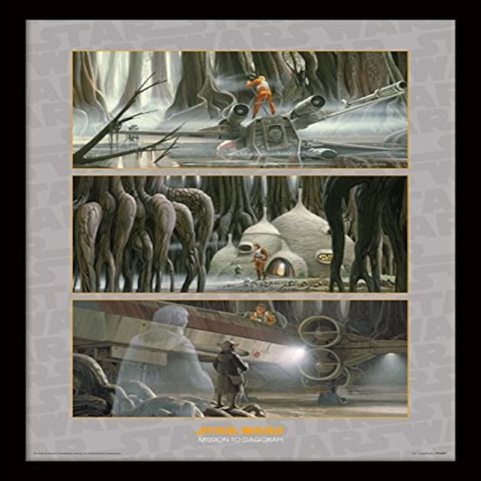 STAR WARS (MISSION TO DAGOBAH) - MEMORABILIA RANGE - FP11357P