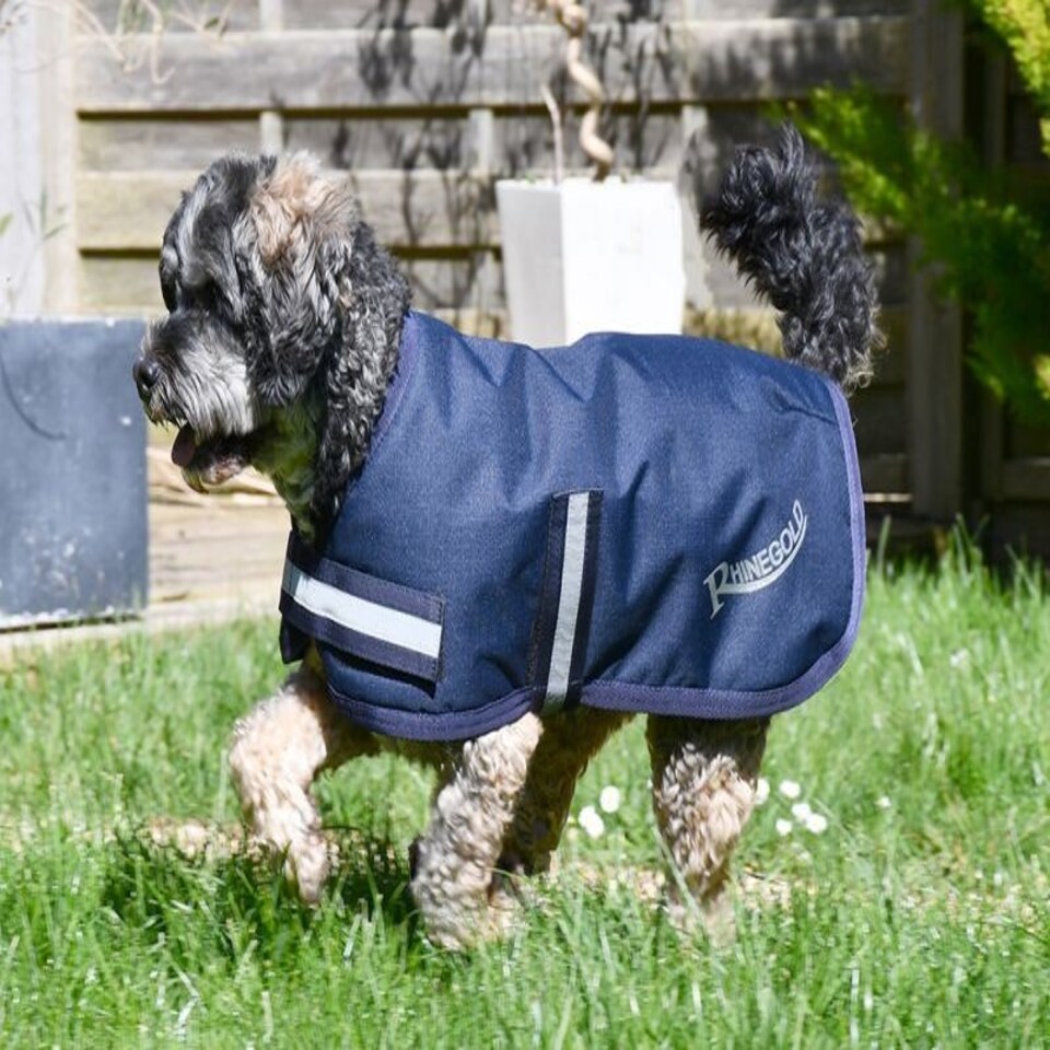 image 1 of Rhinegold Waterproof Dog Coat Brown | XXXL
