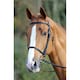 image 2 of Aviemore Raised Cavesson Leather Horse Bridle - Black - Full