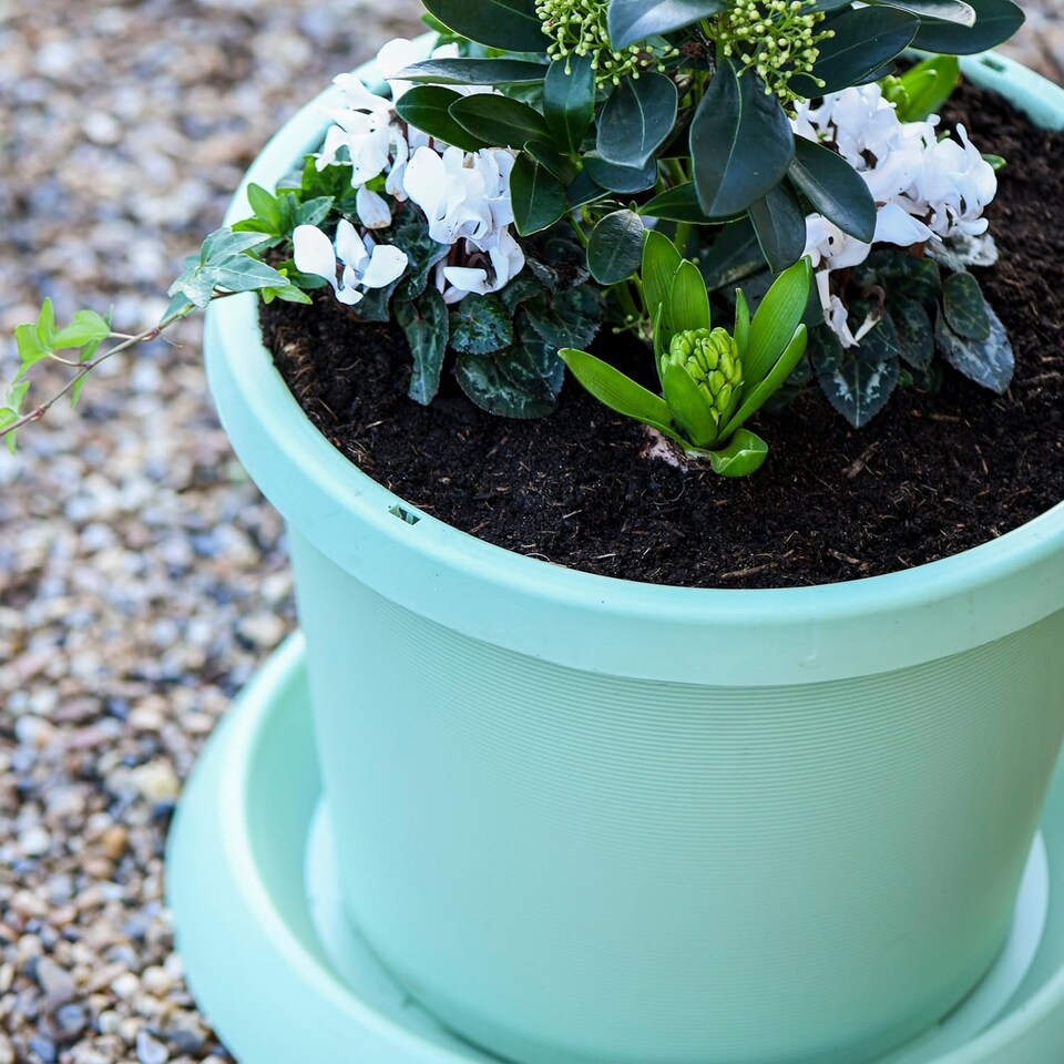 image 1 of Plastic Flowerpot with Saucer Pistachio Green | Green