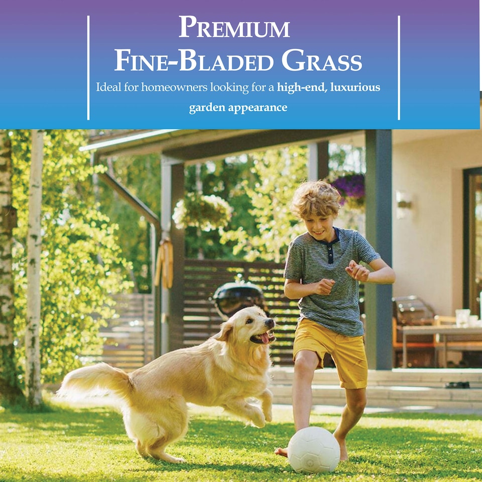 image 1 of Westland Gro-Sure Fine & Luxurious Lawn Seed 100 square Metre Bag Fine Bladed Grass Seed for Thick Soft Green Lawn New or Patch Repair
