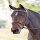 image 2 of Shires Blenheim Leather Polo Browband Red | Size: Pony
Colour: Red/Navy