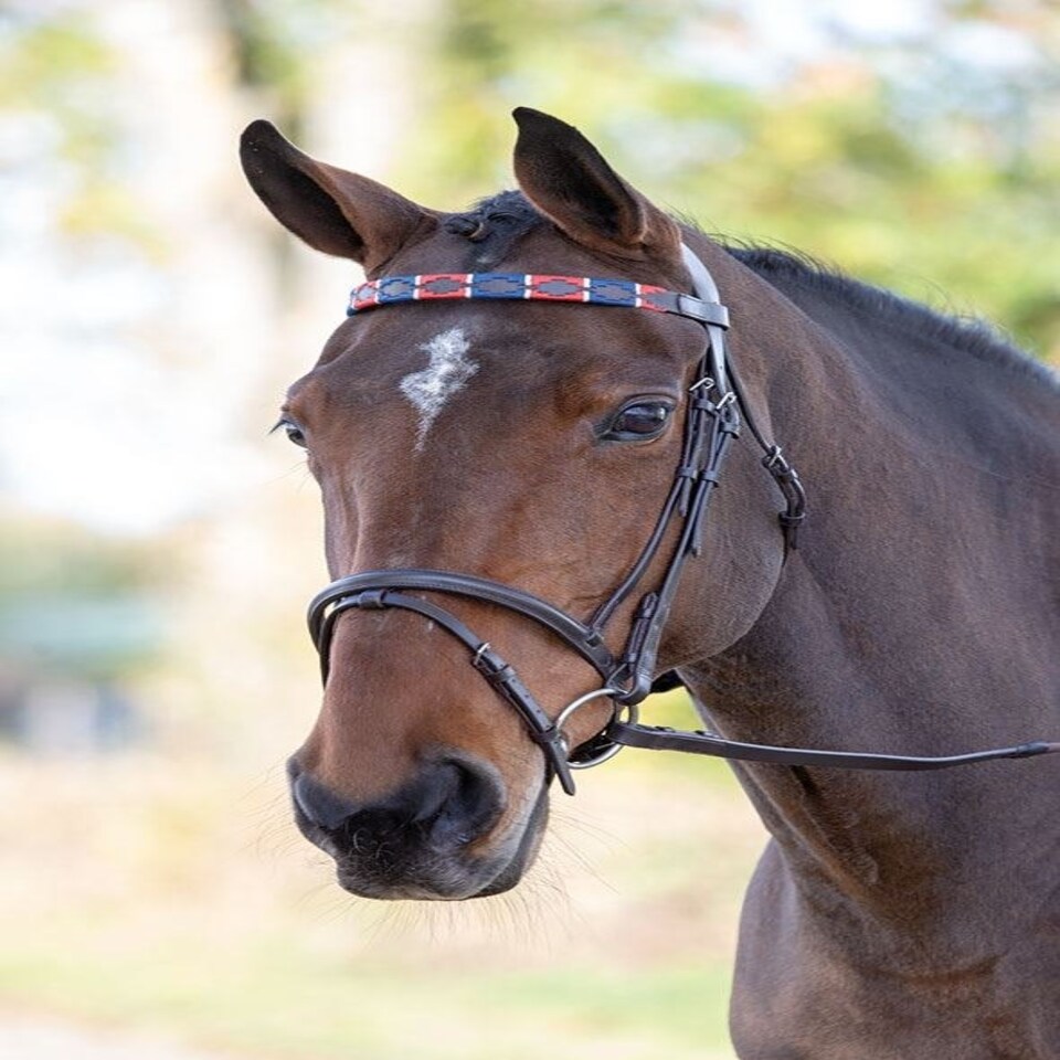 image 1 of Shires Blenheim Leather Polo Browband Red | Size: Pony
Colour: Red/Navy