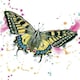 image 1 of Butterfly Wildlife Greeting Card - By Artist Lizze Grant