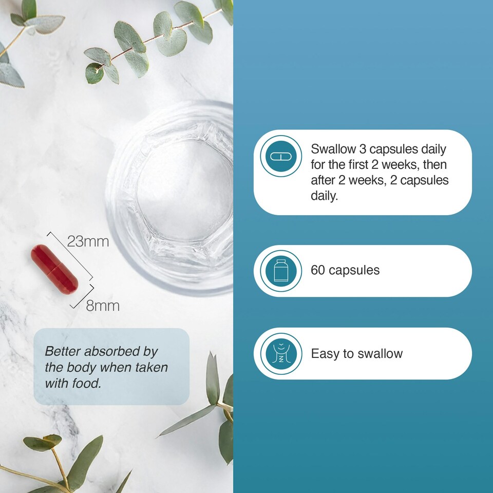 image 1 of Zipvit Bladder Support Complex with Pumpkin Seed, Soy Germ, B6, D3 & Zinc, 60 Vegan Capsules