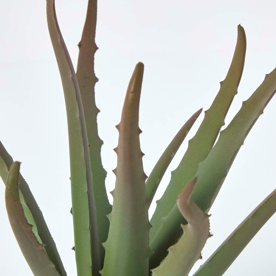 image 1 of Homescapes Aloe Vera Artificial Succulent in Black Pot, 30 cm Tall
