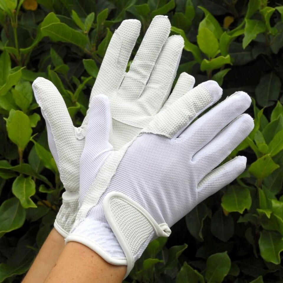 image 1 of Rhinegold Super Stretch Mesh Back Horse Riding Gloves White | Size: X-Large
Colour: White