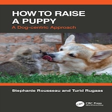 How To Raise A Puppy