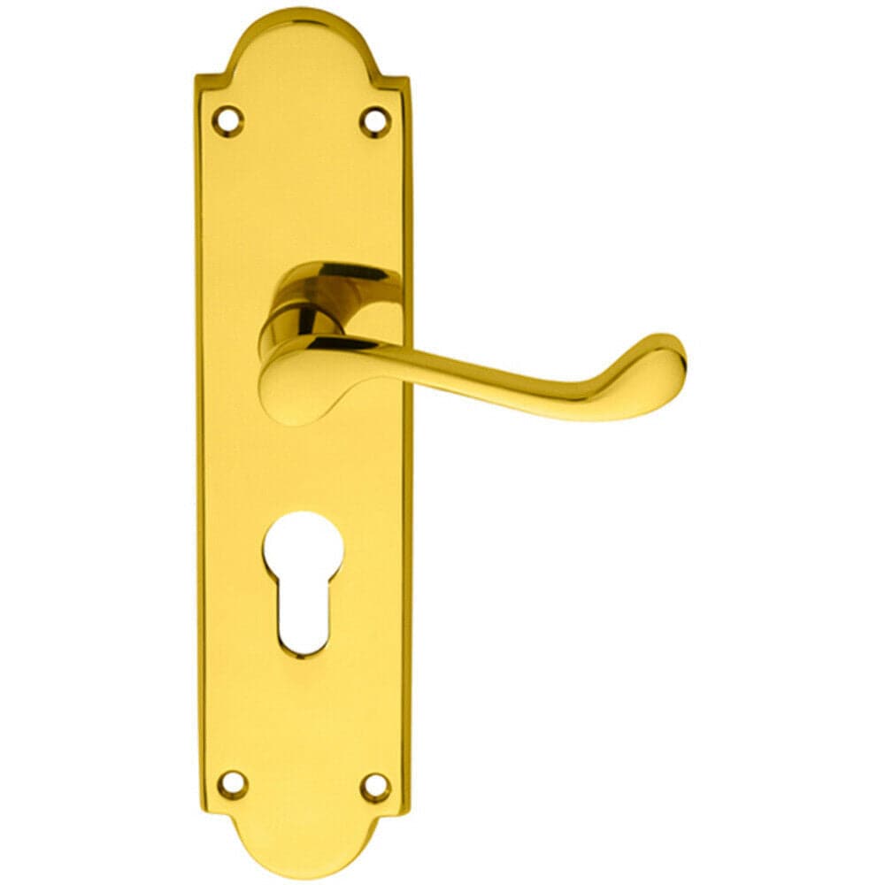 Loops PAIR Victorian Scroll Lever on Euro Lock Backplate 205 x 49mm Polished Brass in Metallics